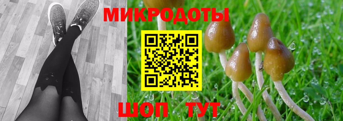 Железногорск  Псилоцибиновые грибы прущие грибы  Галлюциногенные грибы Psilocybine cubensis  Вход с VPN 